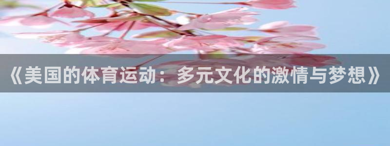 三亿体育：《美国的体育运动：多元文化的激情与梦想》