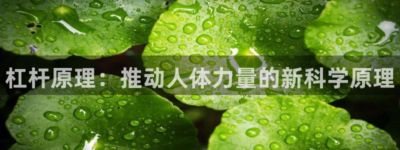 三亿体育登录：杠杆原理：推动人体力量的新科学原理