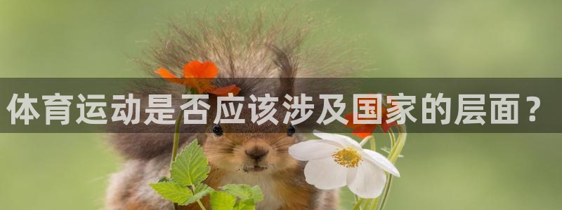 三亿体育网：体育运动是否应该涉及国家的层面？