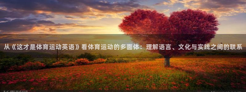 三亿体育：从《这才是体育运动英语》看体育运动的多面体：理解语言、文化与实践之间的联系