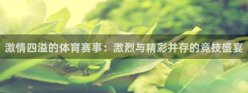 三亿体育网：激情四溢的体育赛事：激烈与精彩并存的竞技盛宴
