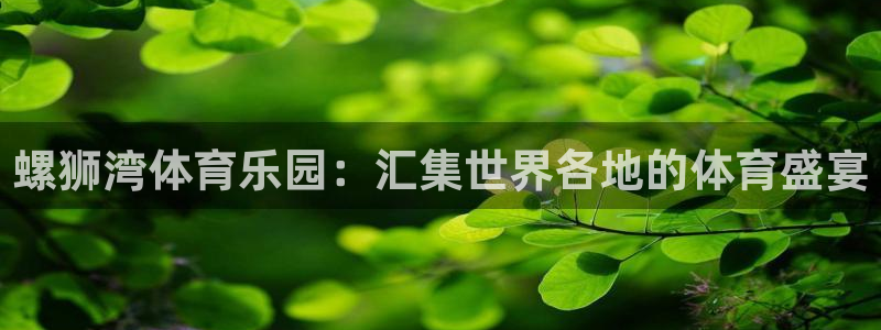 三亿体育网页版